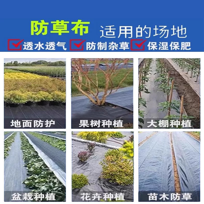 打孔防草布(图1)