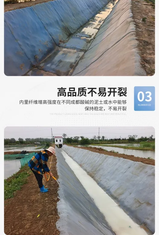 鱼塘边坡防护水泥毯(图8)